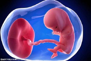 同性借卵助孕包生儿子